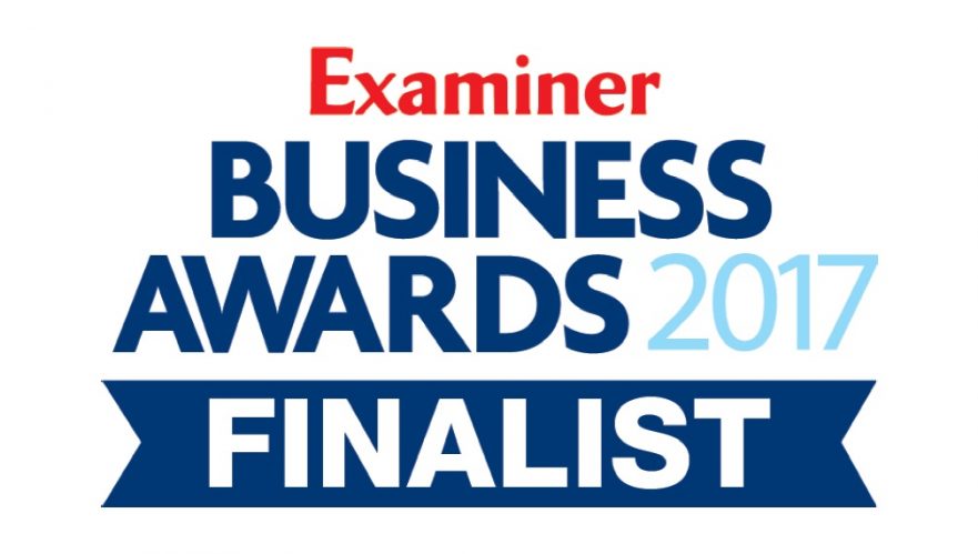 Examiner Business Awards Finalist Logo