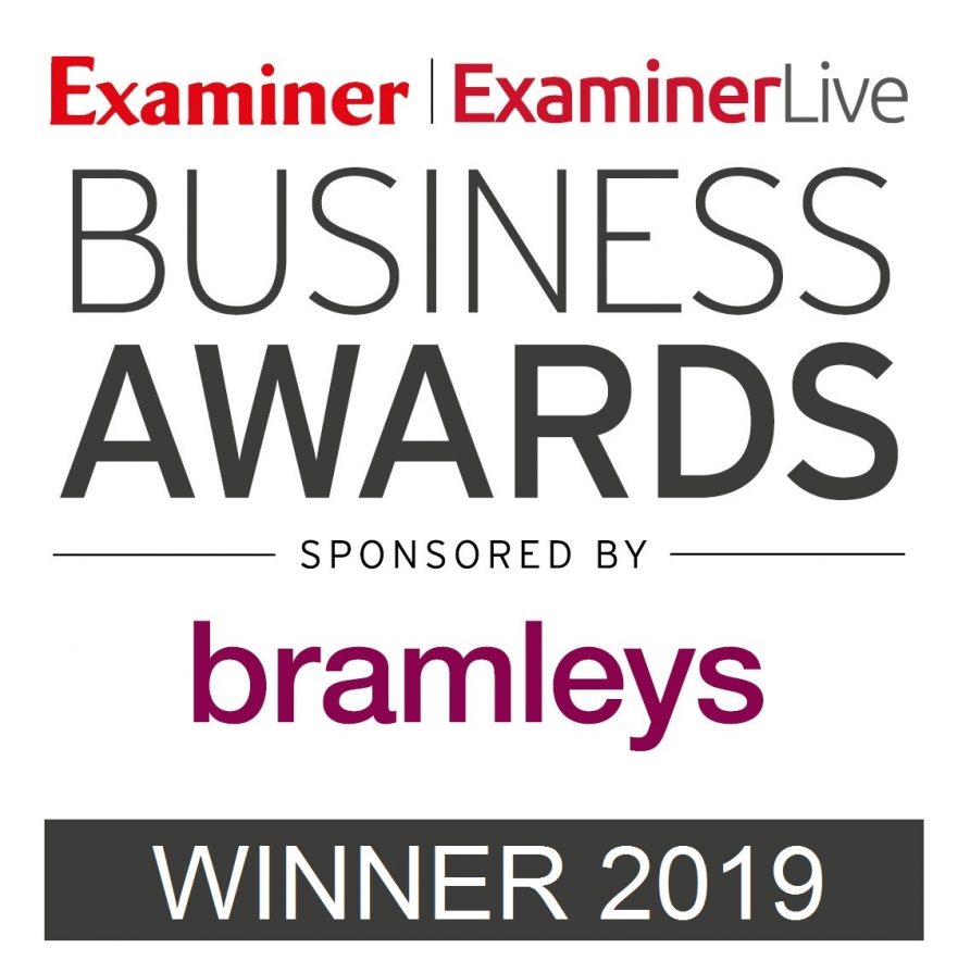 Examiner Business Awards 2019 - Logo