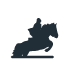 ANS Racecourses Icon