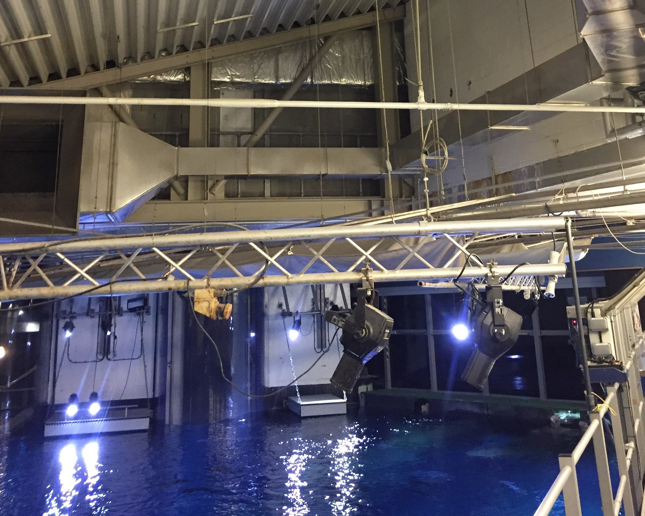 Shark Tank at The Deep | Access North Structures